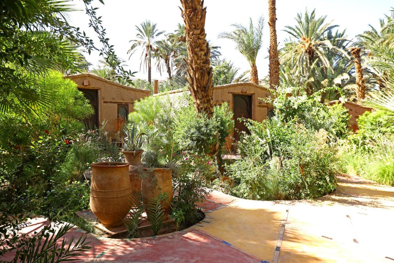Ecolodge Bab El Oued Maroc Oasis Agdz Esterno foto