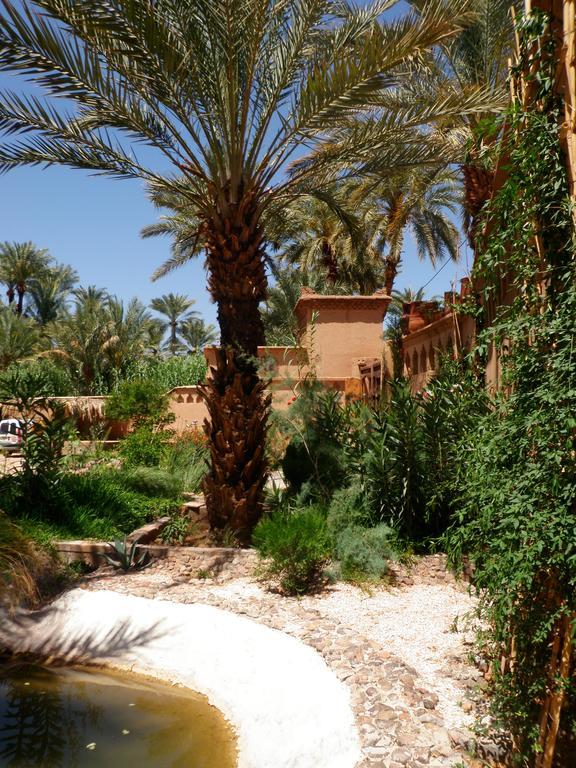 Ecolodge Bab El Oued Maroc Oasis Agdz Esterno foto