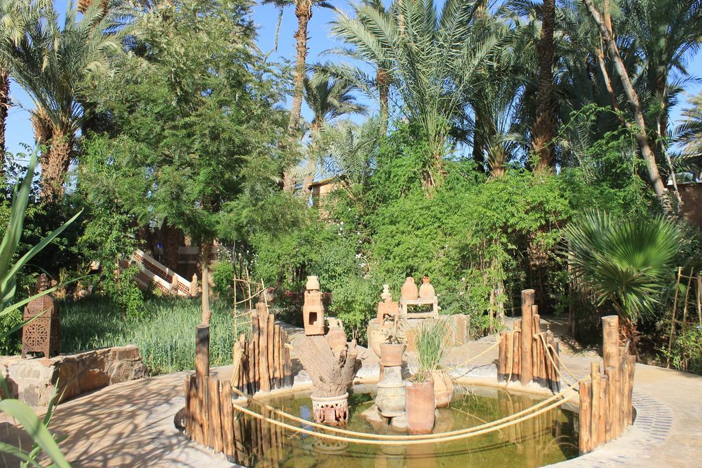 Ecolodge Bab El Oued Maroc Oasis Agdz Esterno foto
