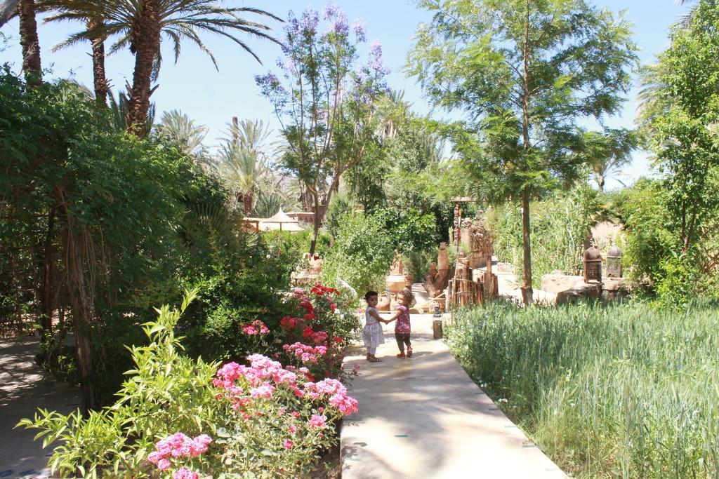 Ecolodge Bab El Oued Maroc Oasis Agdz Esterno foto