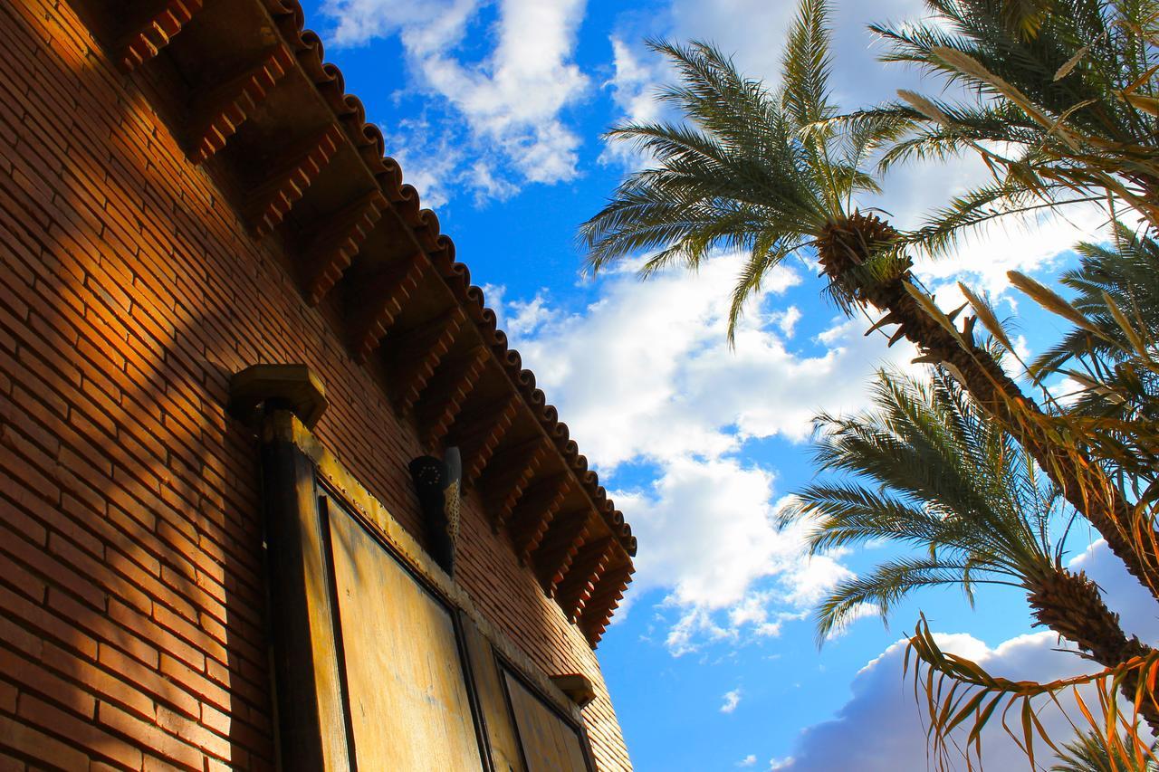 Ecolodge Bab El Oued Maroc Oasis Agdz Esterno foto