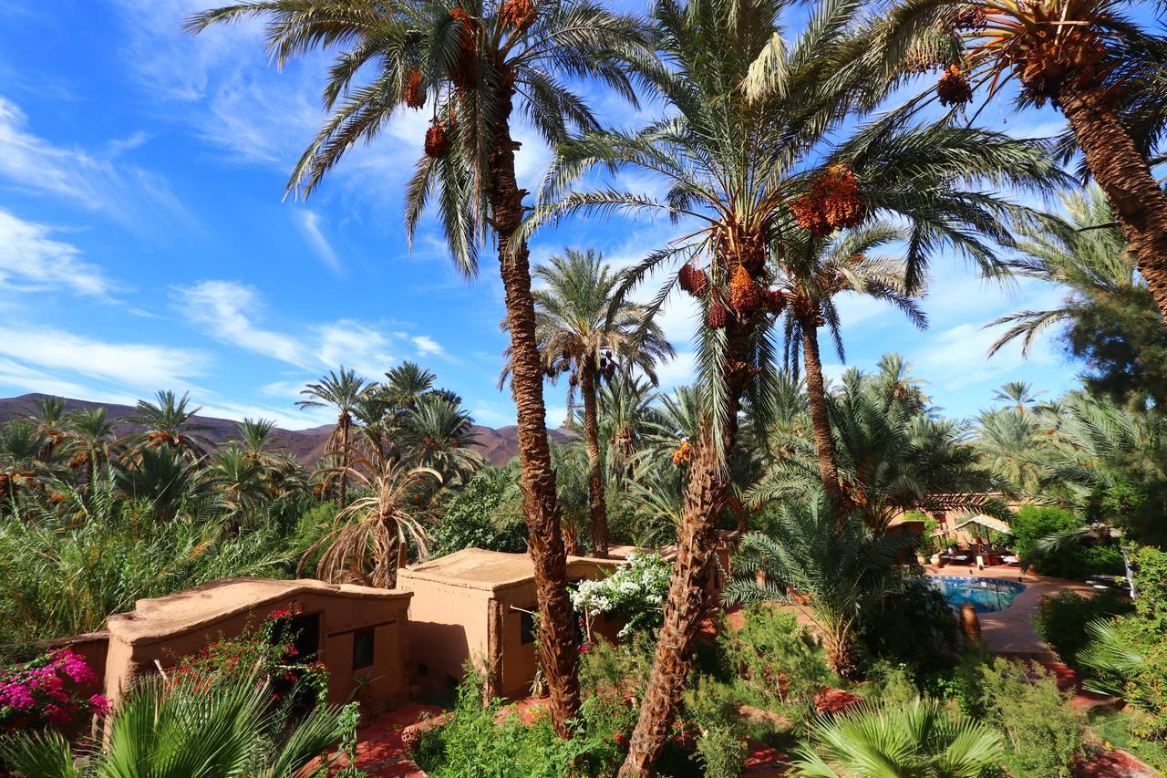 Ecolodge Bab El Oued Maroc Oasis Agdz Esterno foto