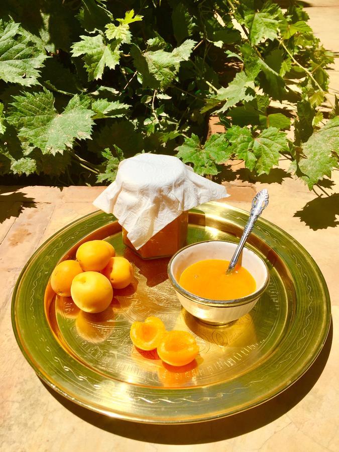 Ecolodge Bab El Oued Maroc Oasis Agdz Esterno foto