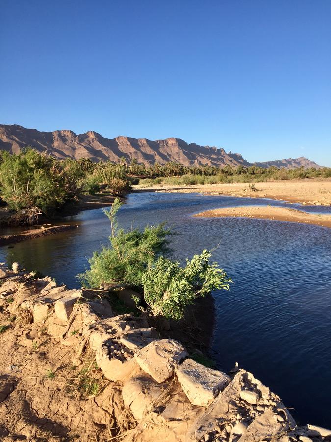 Ecolodge Bab El Oued Maroc Oasis Agdz Esterno foto